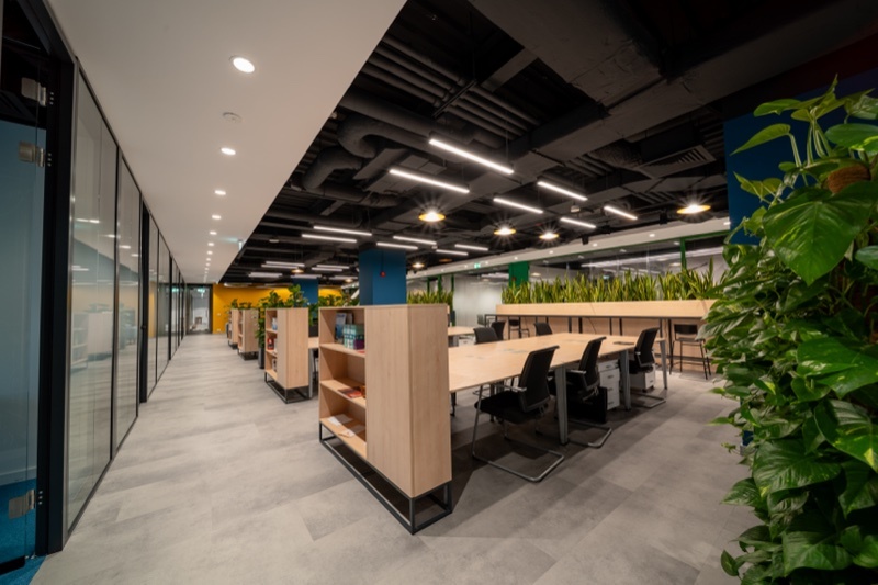 Supertree coworking area